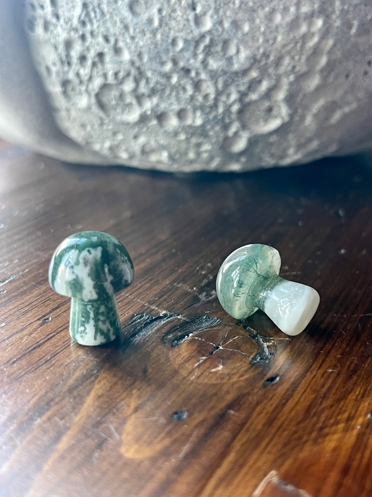 Kelowna Crystal Cave - 2 Mini Moss Agate Mushrooms