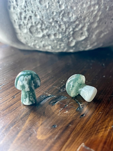 Kelowna Crystal Cave - 2 Mini Moss Agate Mushrooms