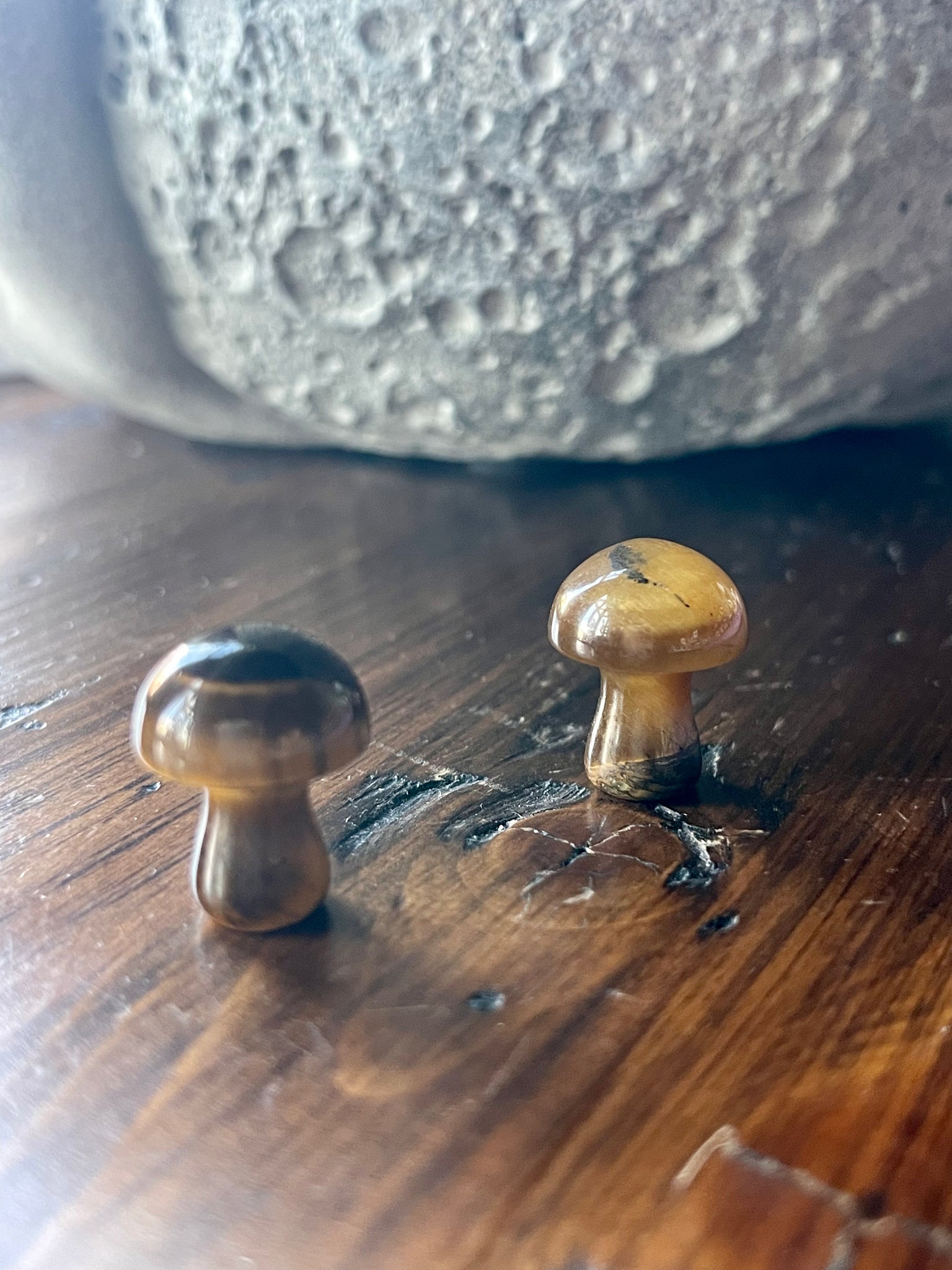 Kelowna Crystal Cave - 2 Mini Tigers Eye Mushrooms