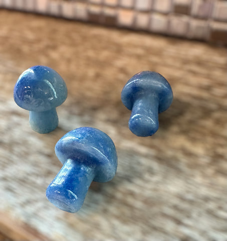 Kelowna Crystal Cave - 3 Mini Blue Aventurine Mushrooms on Wood