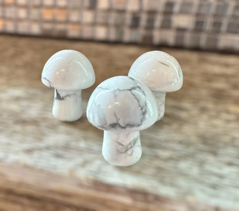 Kelowna Crystal Cave - 3 Mini Howlite Mushrooms on Wood