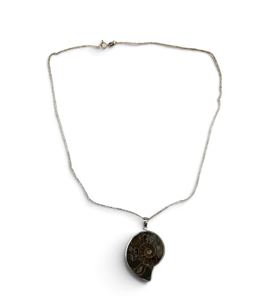 My Two Daughters Jewelry - Ammonite Fossil Necklace -  925 Silver