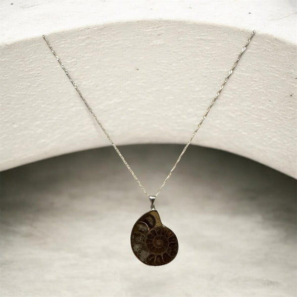 My Two Daughters Jewelry - Ammonite Fossil Necklace with 925 Silver Plated Twist Chain