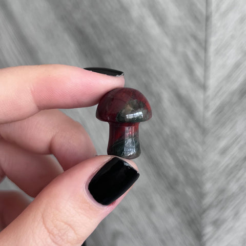 Kelowna Crystal Cave - Bloodstone Mini Mushroom