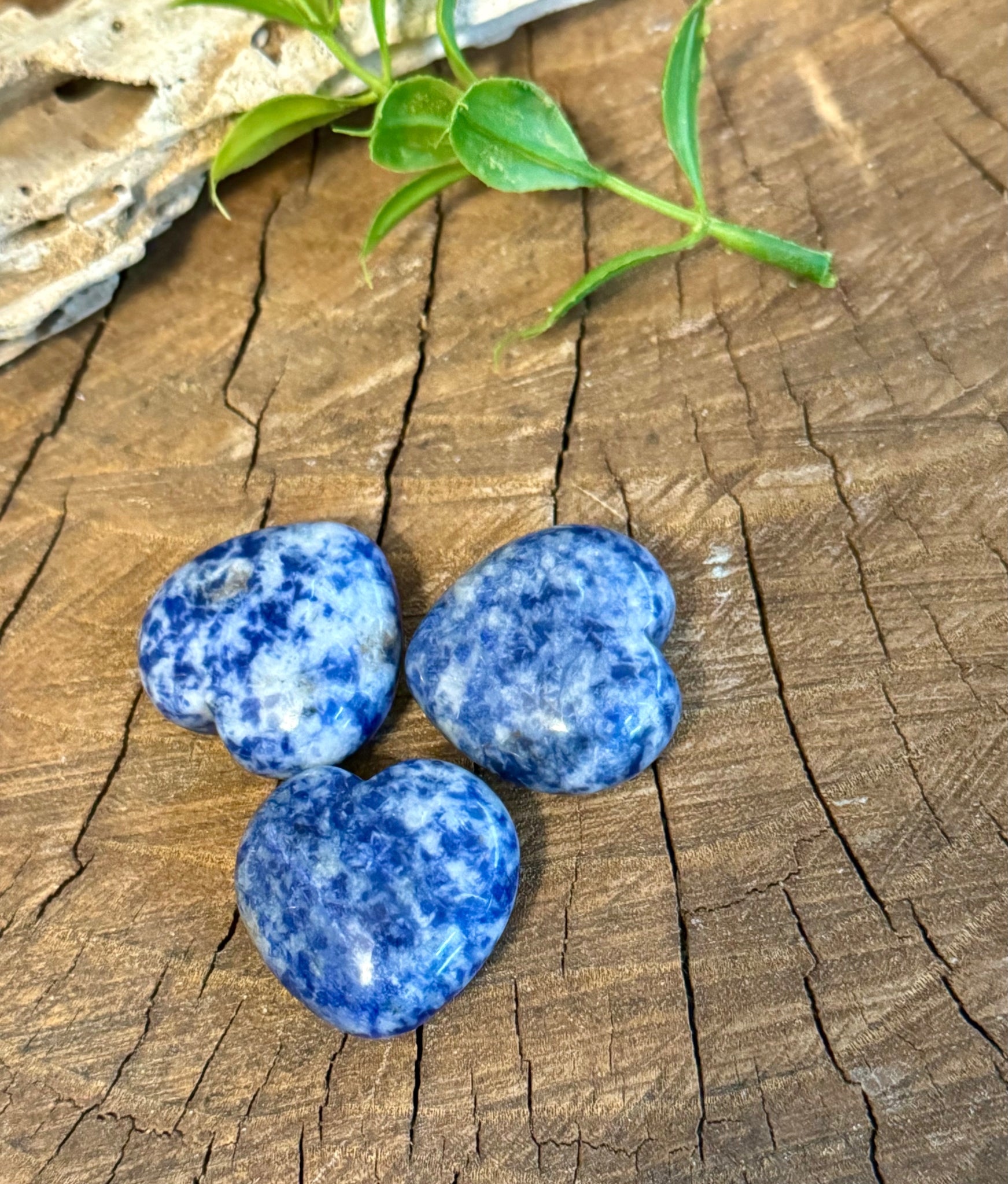 Kelowna Crystal Cave - Blue Spot Jasper Hearts