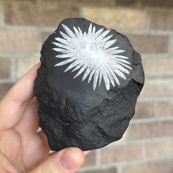 Kelowna Crystal Cave - Chrysanthemum Flower Stone 1