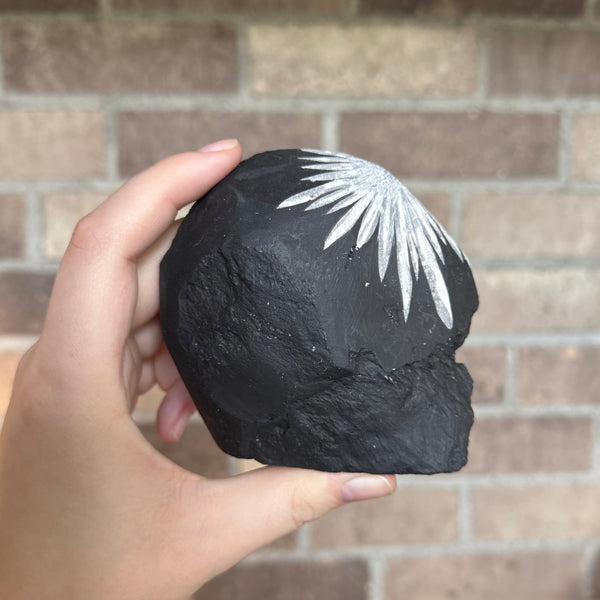 Kelowna Crystal Cave - Chrysanthemum Stone