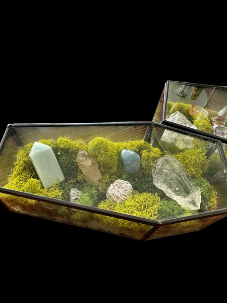 Kelowna Crystal Cave - Coffin glass terrarium with moss and crystals on a black background