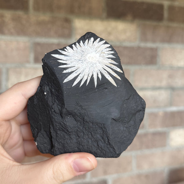 Kelowna Crystal Cave - Crythansium Stone  in Hand