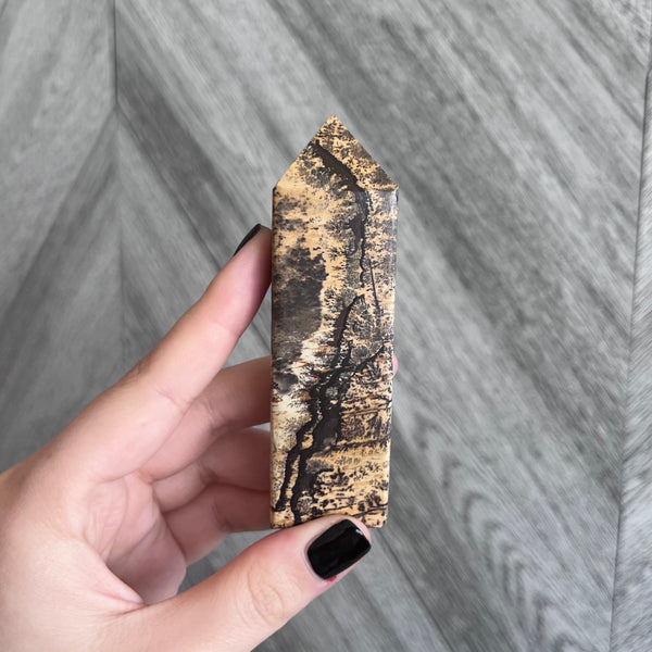 Kelowna Crystal Cave - Picture Jasper Obelisk