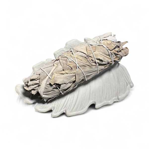 TRUE ART KELOWNA - White sage smudge stick on a white concrete holder against a white background
