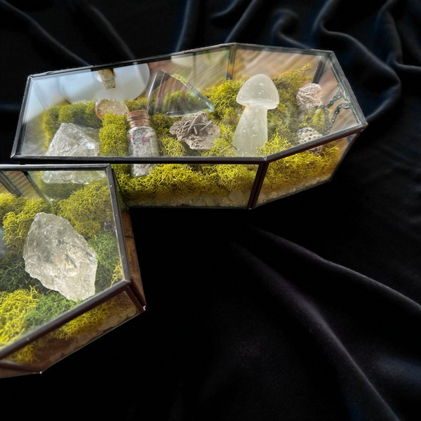 Kelowna Crystal Cave - Coffin glass display cases with crystals and moss on a black fabric background