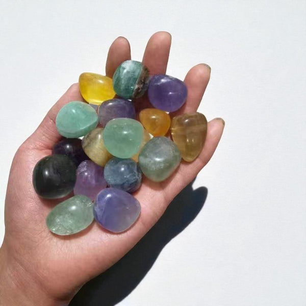 Kelowna Crystal Cave - Hand holding a collection of multicolored gemstones against a white background