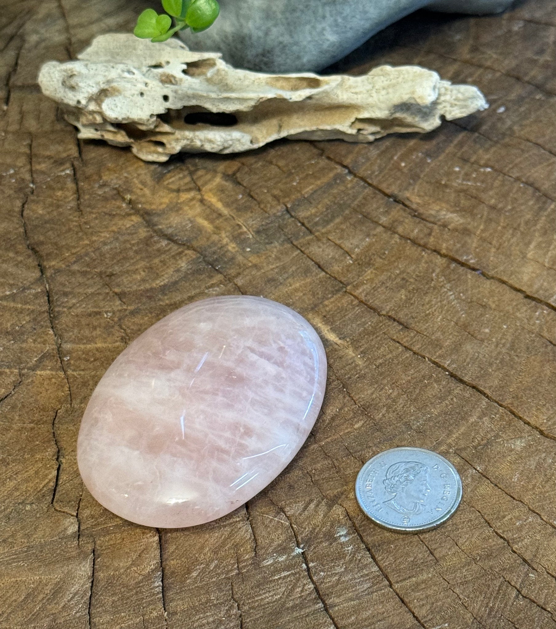 Kelowna Crystal Cave - Rose Quartz Palmstone