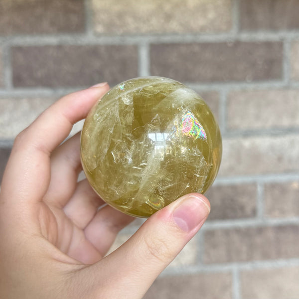 Kelowna Crystal Cave - Medium Citrine Sphere in Hand