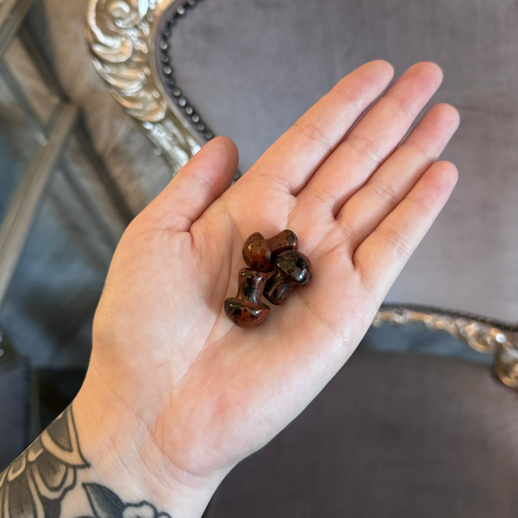 Kelowna Crystal Cave - Mini Brecciated Jasper Mushrooms