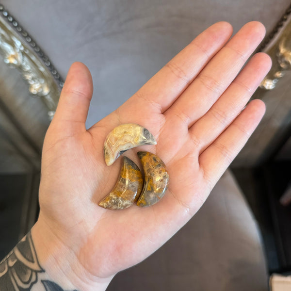 Kelowna Crystal Cave - Mini Crystal Moons Crazy Lace Agate