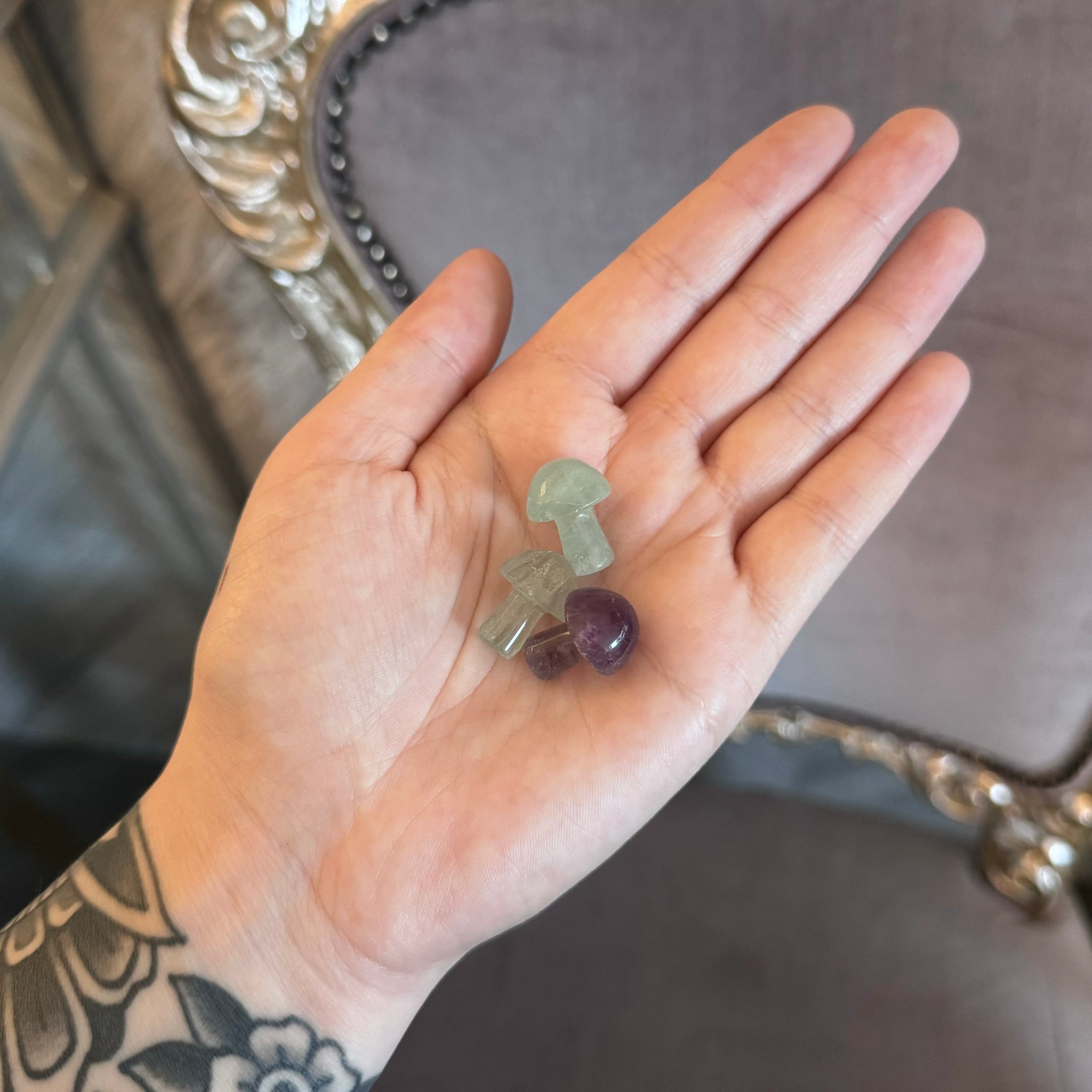 Kelowna Crystal Cave - Mini Fluorite Mushrooms