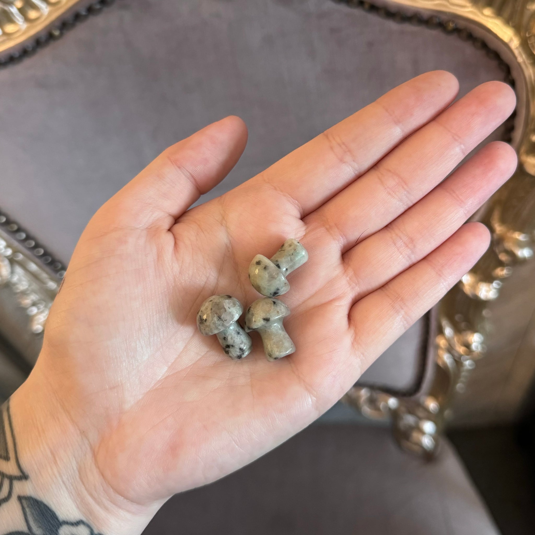 Kelowna Crystal Cave - Mini Kiwi Jasper Mushrooms in Hand