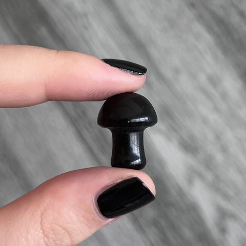 Kelowna Crystal Cave - Mini Obsidian Mushroom