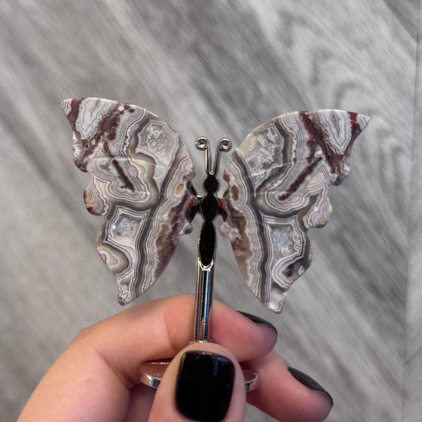 Kelowna Crystal Cave - Money Agate Butterfly Style 21