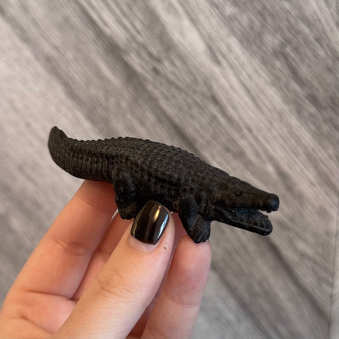 Kelowna Crystal Cave - Small black crocodile figurine held in a hand against a gray background