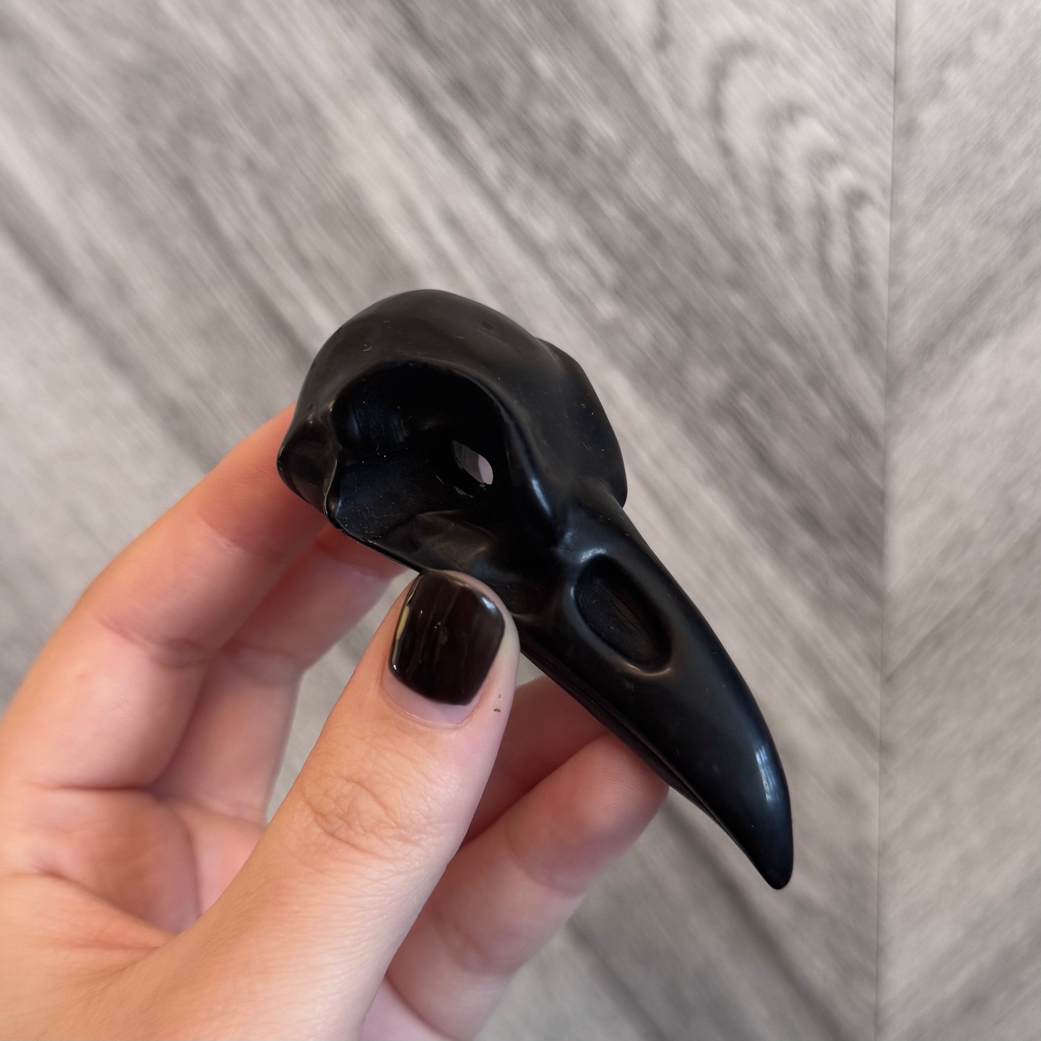 Kelowna Crystal Cave - Raven Bird Skull Obsidian