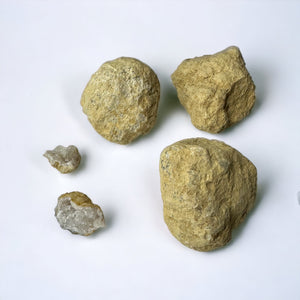 TRUE ART KELOWNA - Discovery Crack A Geode
