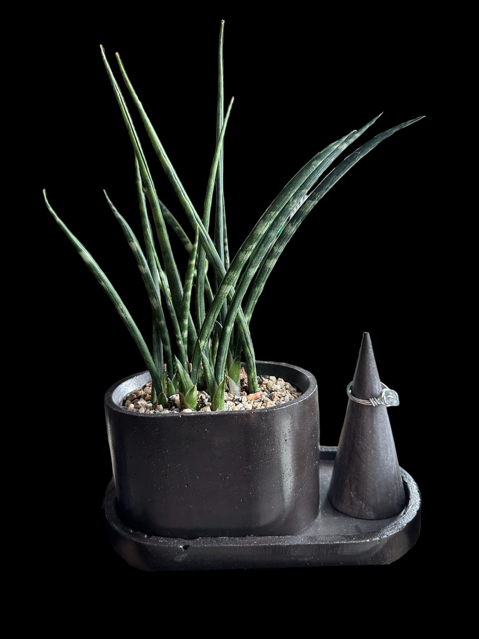 Grey Mood Creations - Cement Planter / Ring Holder
