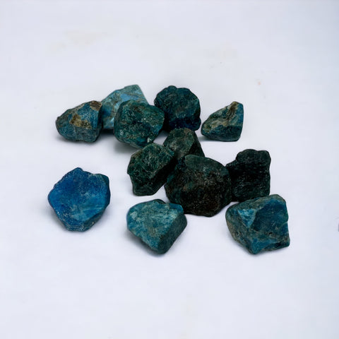 Kelowna Crystal Cave - A collection of raw Apatite stones with a dark and bright blue color, displayed on a white background.
