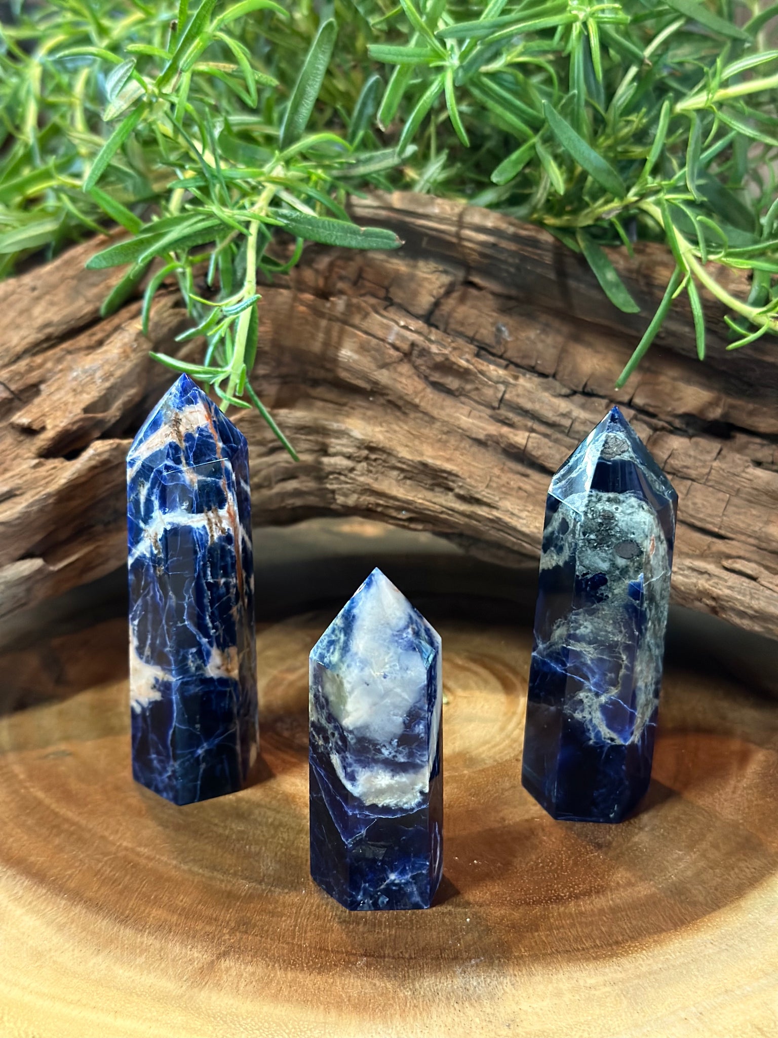 Kelowna Crystal Cave - A collection of sodalite towers with a blue and white pattern, displayed on a wooden surface with green foliage in the background.
