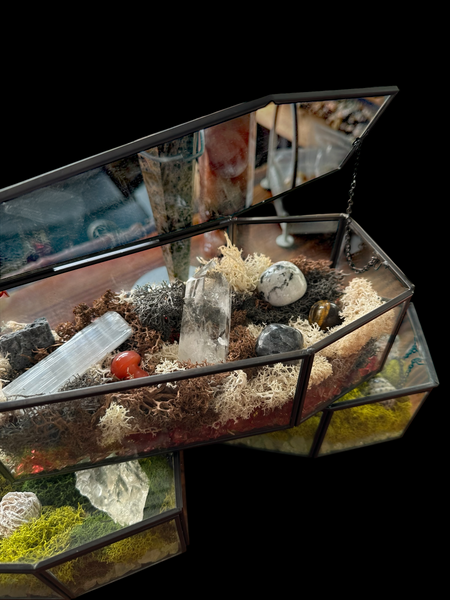Kelowna Crystal Cave - Coffin glass terrarium with rocks, crystals, and moss on a black background