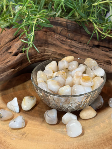 Kelowna Crystal Cave - White Opal Tumbles