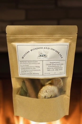 TRUE ART KELOWNA - Winter Wonderland Simmer Pot