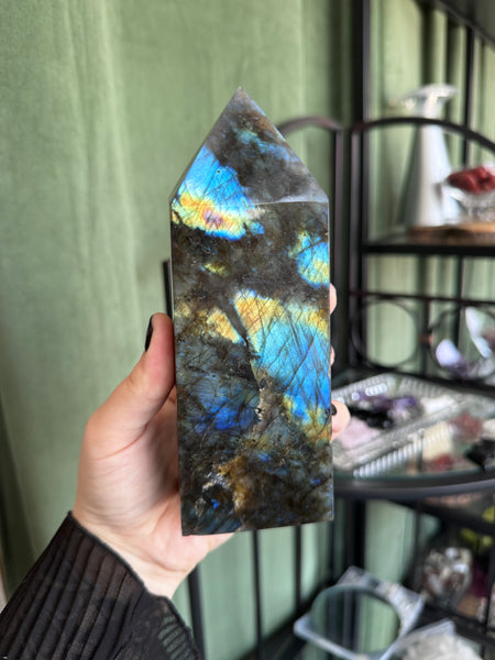 Kelowna Crystal Cave - A hand holds a polished labradorite crystal tower with vibrant blue, gold, and green iridescent flashes on a dark gray base, set against a background of a green curtain and a black metal shelf.