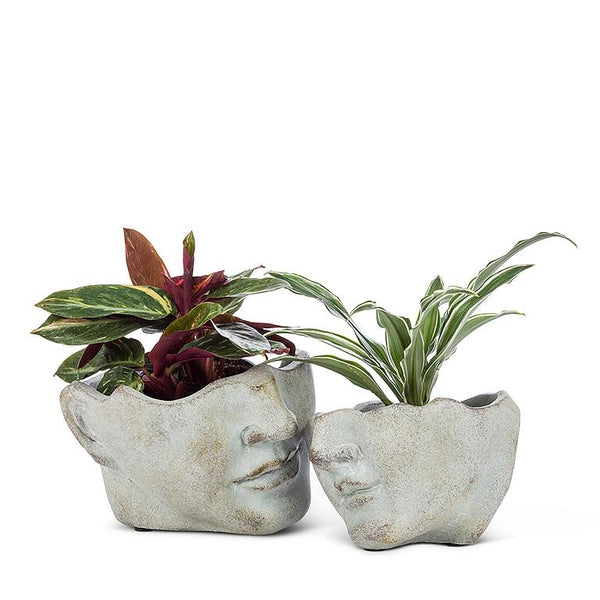 Small Tilted Face Cement Planter 7"