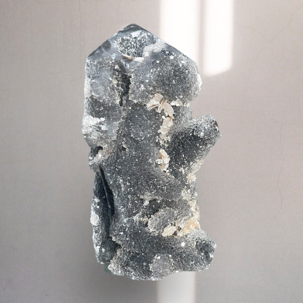 Kelowna Crystal Cave - A photograph of a black druzy sphalerite crystal against a neutral background.