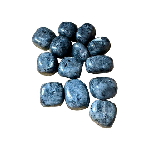 Kelowna Crystal Cave - Black Labradorite Tumbles