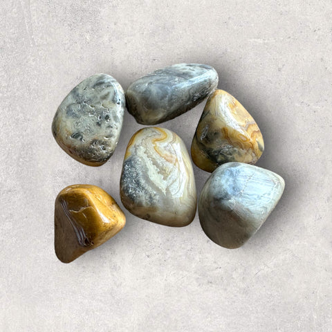 Kelowna Crystal Cave - Crazy Lace Agate Tumbles