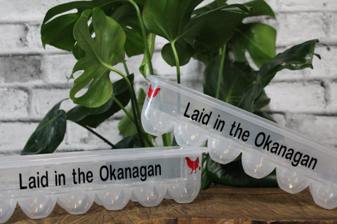 Blazin Creationz - Reusable Egg Carton