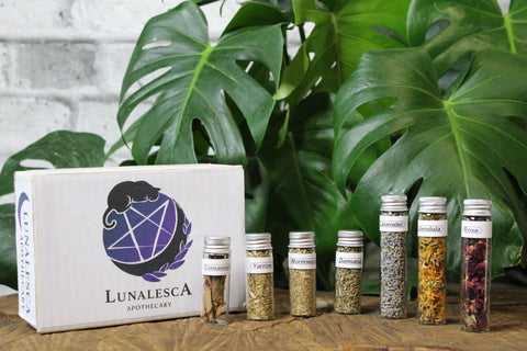 Lunalesca - 7 Essential Herbs for the Witch’s Apothecary - TRUE ART KELOWNA